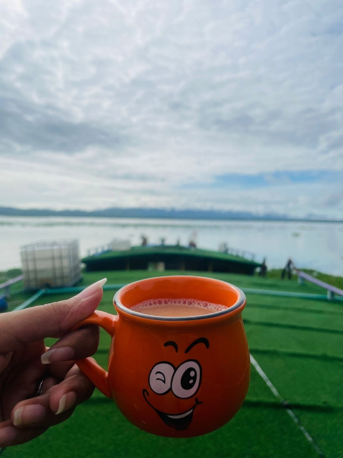 Morning Tea with a View