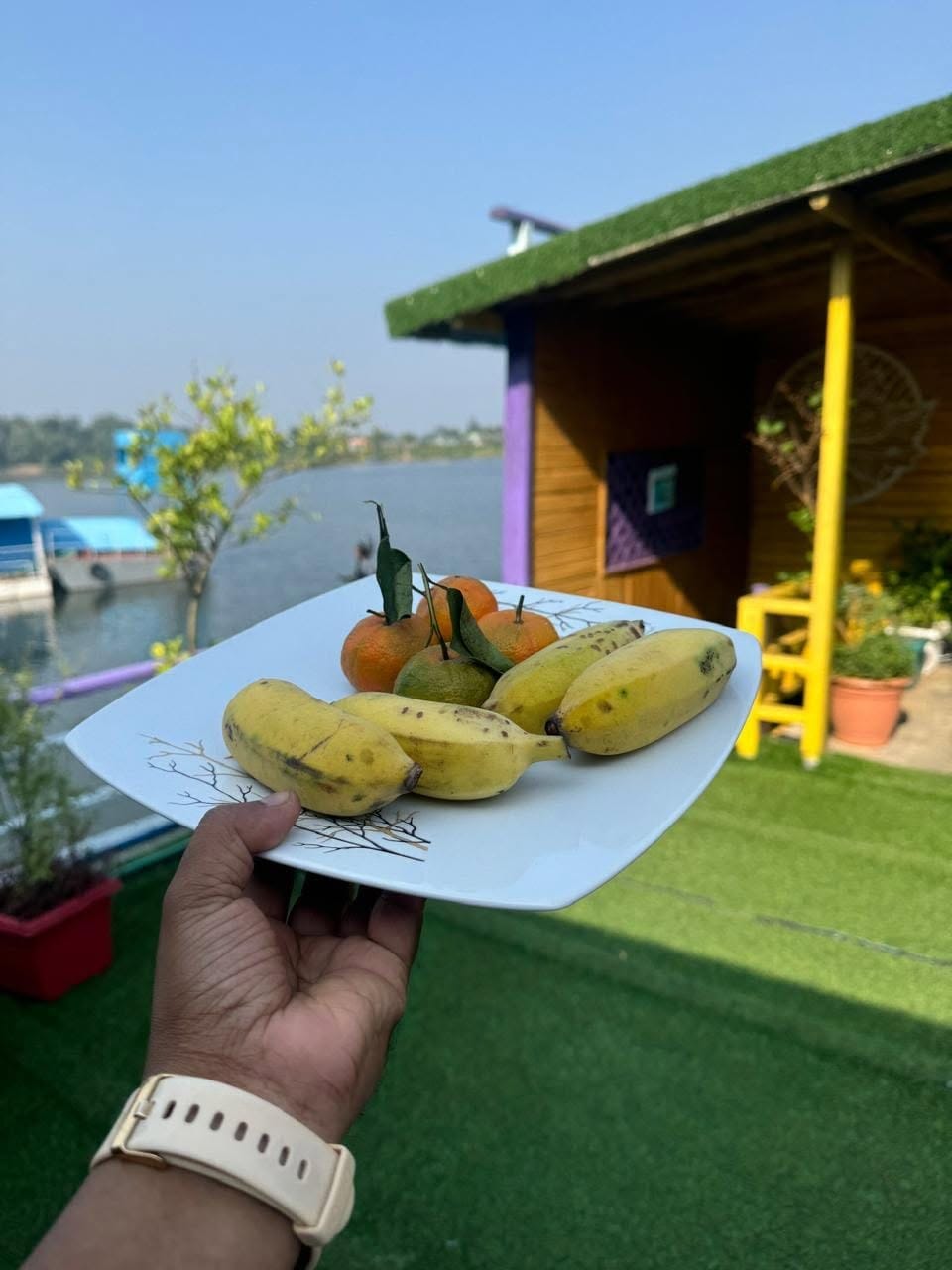 Fresh Tropical Fruits